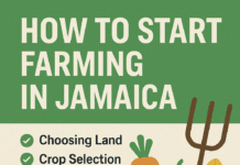 How to start farming in Jamaica in 2025 featuring crops, tools, and Jamaican farmer with HowToJA.com branding