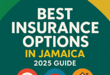 Informational graphic titled Best Insurance Options in Jamaica 2025 Guide featuring icons for health, auto, and home insurance