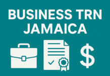 Infographic titled Business TRN Jamaica 2025 Guide with icons of a briefcase, certificate, and dollar sign on teal background
