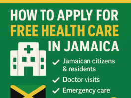 Informational graphic promoting free health care in Jamaica with tropical visuals and icons for medical services